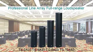 Planes de vera 10 line array soundking altavoz de rango completo de audio profesional
