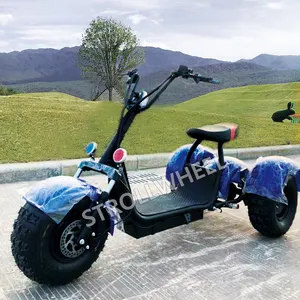 Elektrikli scooter citycoco 2000 w 3 tekerlekli grioskuter hindistan üç tekerlekli bisiklet scooter monowheel citycoco parçaları