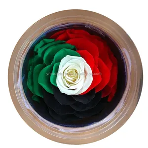 Mooie regenboog rose bloemen gestabiliseerd eeuwige altijd bewaard rozen bloem