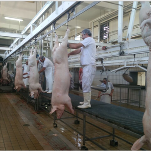 सुअर वध घर का वध मशीन पोर्क वध उपकरण बिक्री के लिए - Product Image 2