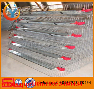 Jaula para Codornices Ponedoras, Jaulas de Batería para Codornices al por Mayor a Bajo <span class=keywords><strong>Precio</strong></span> - Product Image 5