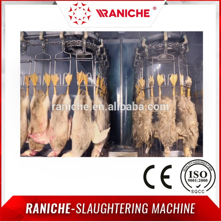 ISO approuvé industrielle oiseau plucker avec grand prix de poulets de chair l'abattage
