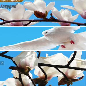 New Arrival PVC Stretch Trần phim xây dựng hiện đại vật liệu xây dựng vải PVC phim cho khách sạn - Product Image 4