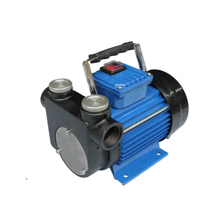 Pompa di trasferimento del combustibile 220V/diesel/cherosene/pompa dell'olio di flusso alto/ca 110V/12/24V