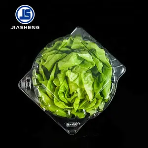 Высококачественный Пищевой прозрачный ПЭТ пластиковый раскладной салат в упаковке