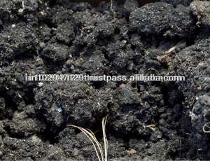 Finition de cuisine et de cour, contient les bactéries - Product Image 4