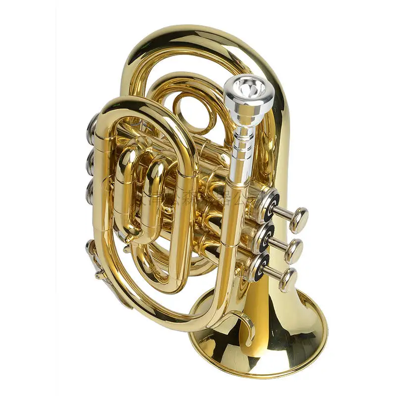 PT-8520 Bb Key Golden Lacquered Pocket Trumpet mini trumpet