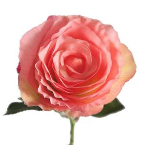 Nuovo da Sposa di Design di <span class=keywords><strong>Primavera</strong></span> Fiore di Rosa con di Alta Qualità di Rosa Del Fiore - Product Image 5