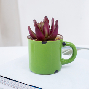 Petit Moderne Cube en forme de <span class=keywords><strong>Blanc</strong></span> En Céramique Planteur Pots Avec Collé Succulent Artificielle - Product Image 1