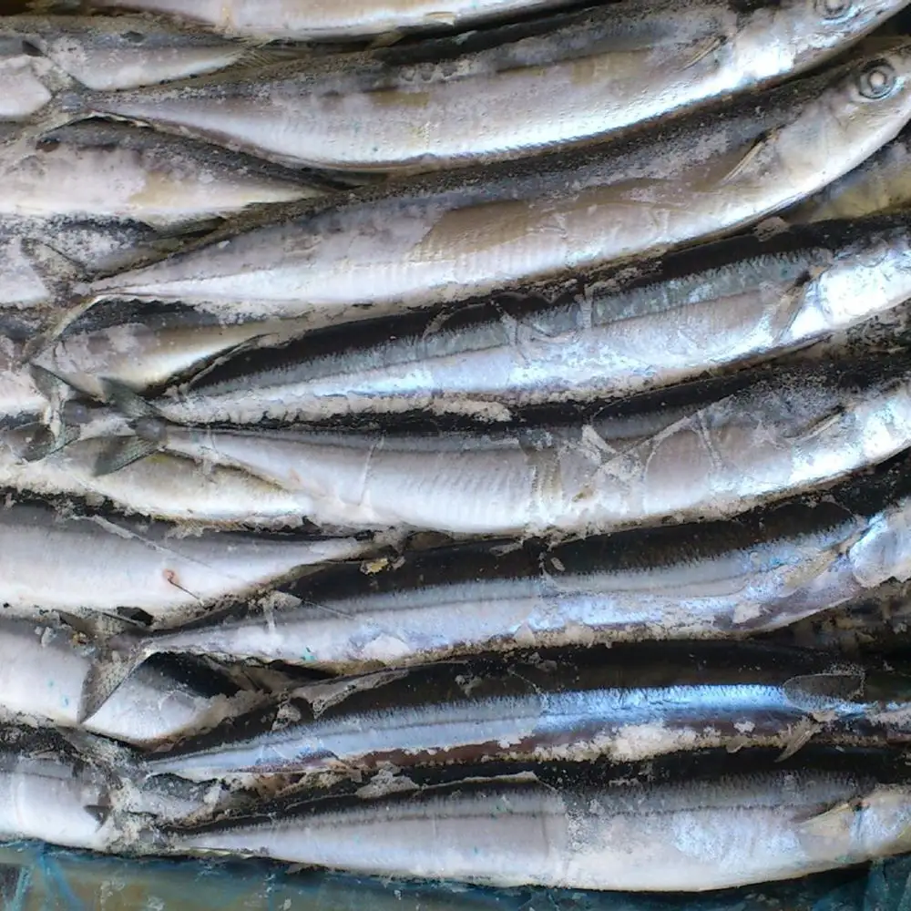 मछली चीनी सांबा से प्रशांत Saury फैक्टरी