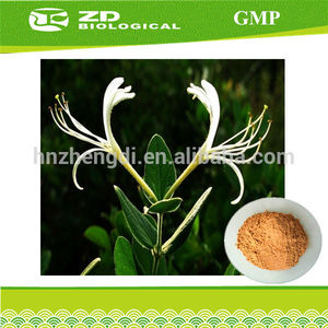 Flor de la madreselva extraer el ácido clorogénico 5%- 25% para piensos de aves de corral de formulación - Product Image 1