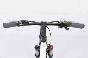 European Standard electric mountain bike/<span class=keywords><strong>mtb</strong></span>, suitable for outdoor sports or tourism, 2013 New <span class=keywords><strong>mtb</strong></span> - Product Image 3