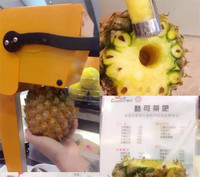 Oranje Sap Machine Pitaya Vruchtensap Machine/Sap Machine/Verse Fruit Juicer