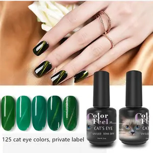 Colorfeel 125 colors OEM ODM 15ml nail art led uv gellack supplier magnet effect coat cat eye color gel nail polish