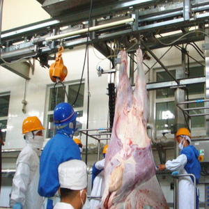 Ternak Pembantaian Peralatan dengan Daging Sapi Menyembunyikan Penarik untuk Halal Rumah Potong Abattoir Line - Product Image 2