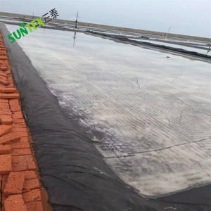 Telo in Plastica per Laghetto, Rivestimento Impermeabile per Acquario, Sistema di Allevamento Ittico, Geomembrane per Laghetti, Membrana HDPE per Controllo del Calore e Impermeabilizzazione - Product Image 4