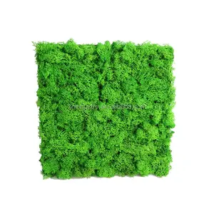 Painel de parede de musgo natural, decoração de casa, verdadeiro, musgo verde natural, estabilizado, rena, musgo