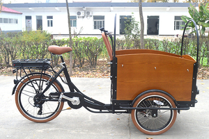 Compras <span class=keywords><strong>Bicicleta</strong></span> Eléctrica De Carga de La Familia urbana con <span class=keywords><strong>Caja</strong></span> de Transporte - Product Image 2