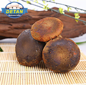 Detan <span class=keywords><strong>boletus</strong></span> frescos setas precios - Product Image 1