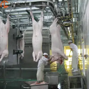 Máquina de abattoir de porco, lâmina de porcos, máquina para projeto de abattoir suíno