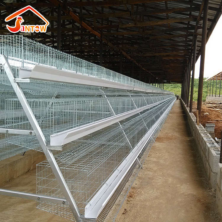 ชั้นกรงไก่ของสัตว์ปีกอุปกรณ์สำหรับขายในไนจีเรีย Q235 เหล็กชุบสังกะสี one เก่าวัน chicks rearing แบตเตอรี่กรง