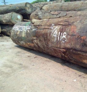 Ekop Naga Hout, Plain Gezaagd Multiplex, High-End Meubelen Te Koop - Product Image 1