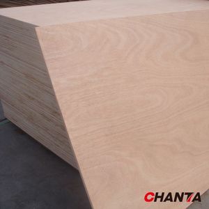 Contreplaqué d'eucalyptus professionnel/planches de bois stratifié/contreplaqué revêtu de haute qualité - Product Image 4