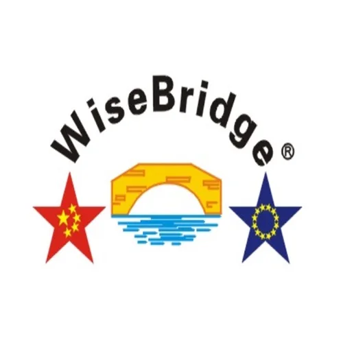 Wise Bridge Import and Export Co., Ltd. logo