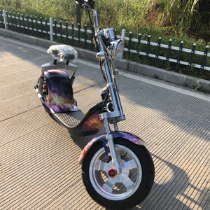 Gratis Verzending Nieuwe Model Grote Een Wiel 1000W Krachtige Elektrische Scooter Groothandel - Product Image 5