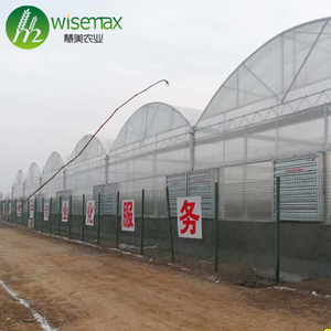 屋根とサイディングベント温室マルチスパン熱帯気候 - Product Image 6