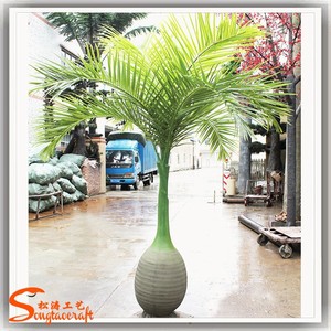 Tutti i Tipi di <span class=keywords><strong>Piante</strong></span> Tropicali Artificiali, Palme e <span class=keywords><strong>Piante</strong></span> all'Ingrosso, Palma Bottiglia Decorativa da Giardino in <span class=keywords><strong>Vendita</strong></span> - Product Image 4