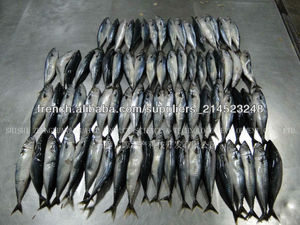Melhor peixe <span class=keywords><strong>carapau</strong></span> congelado para exportação - Product Image 1
