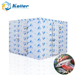 Koller Freezer Cold Storage Room with Refrigerator for fishing plants VCR30