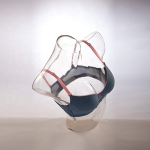 <strong>Plastic</strong> Pc Display Bra Underwear Lingerie <strong>Dummy</strong> Transparent <strong>Female</strong> Upper Body Bust Mannequin Torso - Product Image 5