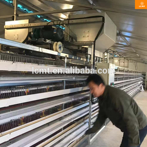 <span class=keywords><strong>Cage</strong></span> d'alimentation automatique pour caille 100000, 1 pièce, <span class=keywords><strong>design</strong></span> gratuit, pour animaux de grande taille - Product Image 3