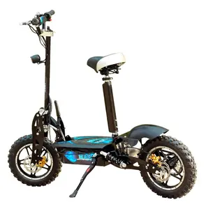 A buon mercato 14 pollici grandi ruote off road scooter elettrico 1000W 48V per la vendita