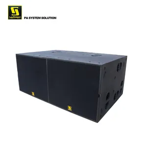 BSX Sanway पेशेवर ऑडियो डबल आउटडोर घटना के लिए 21 इंच Subwoofer अध्यक्ष