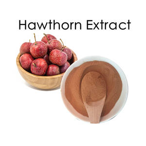 HONGDA Factory <strong>Supply</strong> <strong>Hawthorn</strong> Berry Powder <strong>Hawthorn</strong> Berry <strong>Extract</strong> <strong>Hawthorn</strong> <strong>Extract</strong>