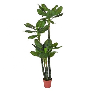 Plantes <span class=keywords><strong>d</strong></span>'<span class=keywords><strong>intérieur</strong></span> artificielles à <span class=keywords><strong>grande</strong></span> feuille, 1 pièce, fausses fleurs de bonsaï tropical en plastique, vente <span class=keywords><strong>d</strong></span>'arbre - Product Image 4