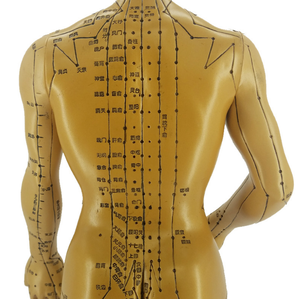 Antique <span class=keywords><strong>Bronze</strong></span> HD châm cứu con người mô hình y học cổ truyền Trung Quốc Bảo tàng trang trí huyệt rõ ràng - Product Image 4