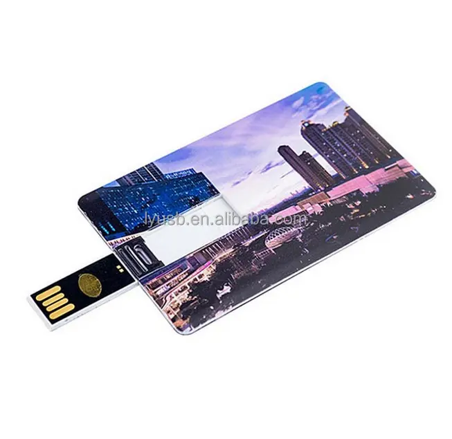 사용자 정의 디자인 doubel 양면 비즈니스 카드 방문 카드 신용 카드 usb 2.0 메모리 플래시 8 기가바이트