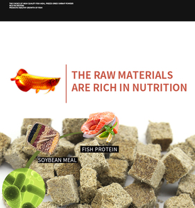 หนอน <span class=keywords><strong>Tubifex</strong></span> แห้งแช่แข็งสำหรับปลาพิพิธภัณฑ์สัตว์น้ำ - Product Image 6