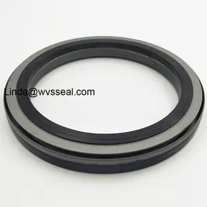 Hydraulic Seals BZ5377E Oil Seal