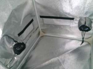 Équipement hydroponique boîte de culture 240*120*200cm <span class=keywords><strong>serre</strong></span> jardin tente de croissance sombre prêt à expédier - Product Image 2