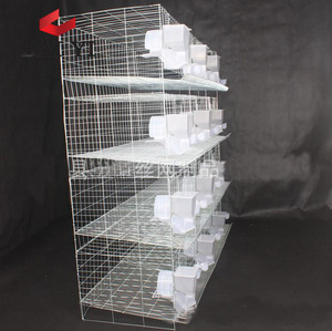 Cage pour pigeons voyageurs, cages pour animaux - Product Image 2