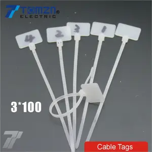 100 pcs 3mm * 100mm नायलॉन केबल संबंधों के लिए टैग पर ईथरनेट RJ45 आरजे 12 तार बिजली केबल लेबल पहुंच