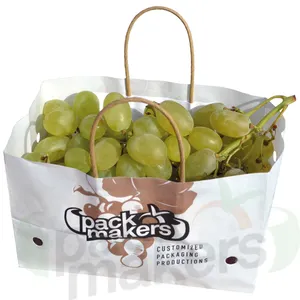 带葡萄或水果通风的湿强度工艺纸袋