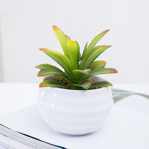 Succulentes plante artificielle de <span class=keywords><strong>aibaba</strong></span> - Product Image 1