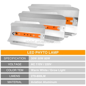 Quang Phổ đầy đủ 110 V 220 V 50 W 380nm-840nm phyto nhà màu xanh lá cây đèn led - Product Image 2