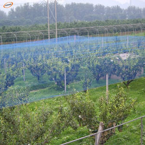 red de aves para la captura de los gorriones - Product Image 5